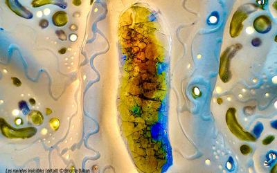 Brigitte Dahan