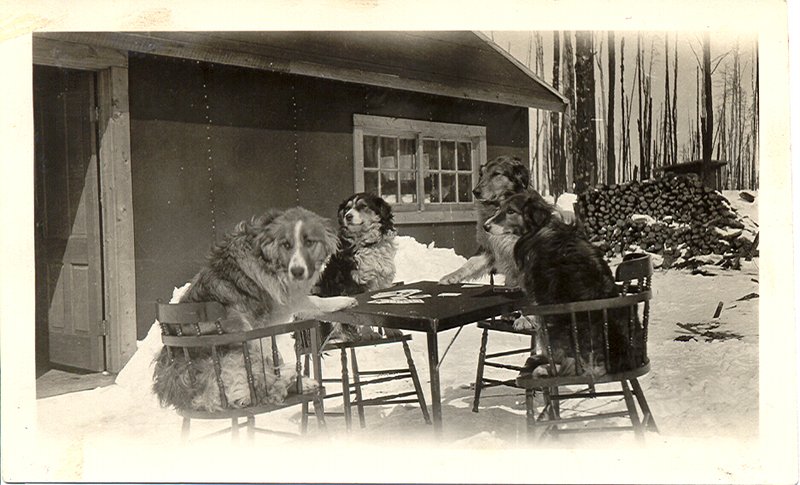 Archives nationales à Rouyn-Noranda, collection Société d’histoire de Rouyn-Noranda