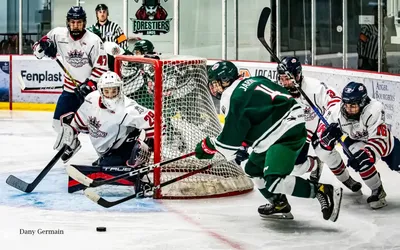 12339.webp