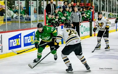 3454.webp