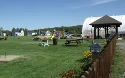 3899.webp