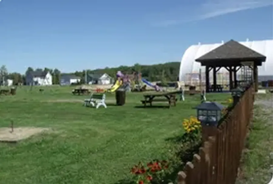 3899.webp