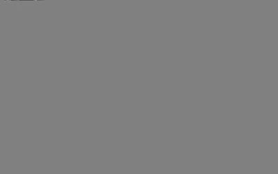 4084.webp