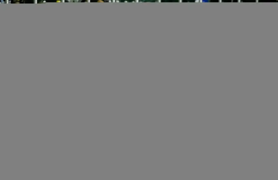 4084.webp