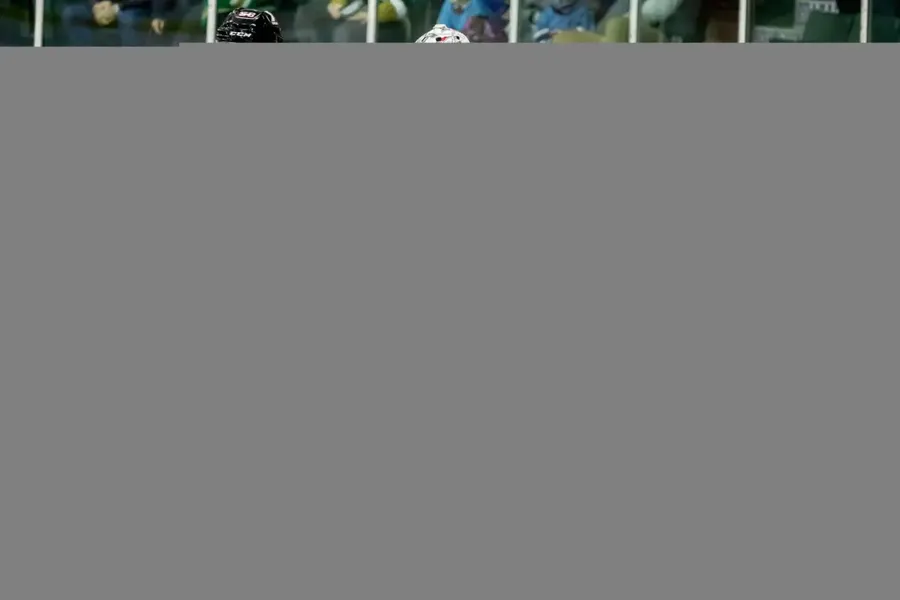 4235.webp