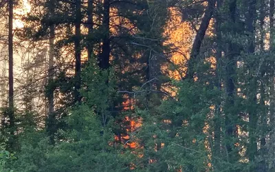 5754.webp