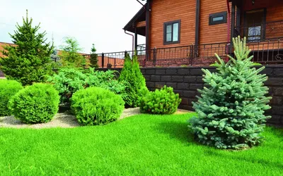 5991.webp