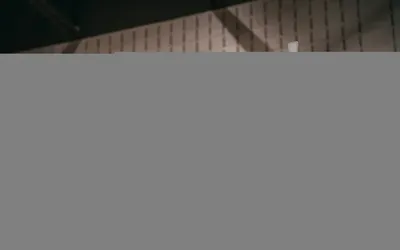 7262.webp