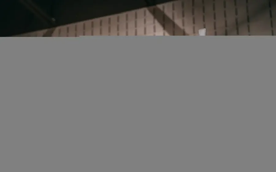 7262.webp