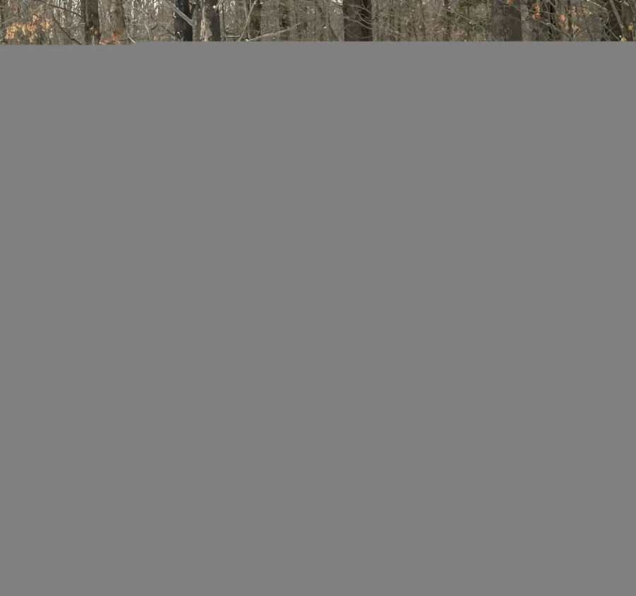7401.webp