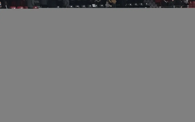 8113.webp
