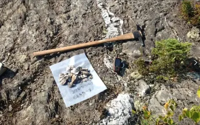 8123.webp