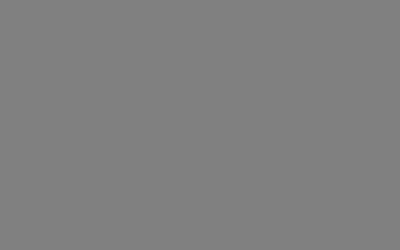 9229.webp