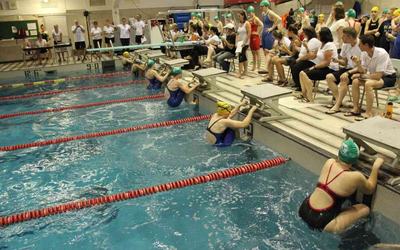 Natation