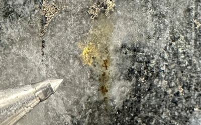 Exploration Azimut - projet Wabamisk - Zone Rosa