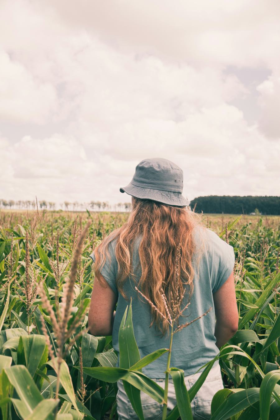 La relève agricole réclame des prêts à faible taux fixe remboursables sur 40 ans pour faciliter le démarrage et la reprise des fermes.