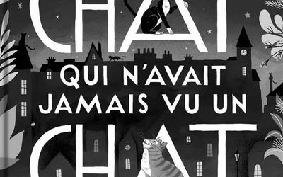 Le chat qui n'avait jamais vu un chat - Stéphane Frattini.jpg