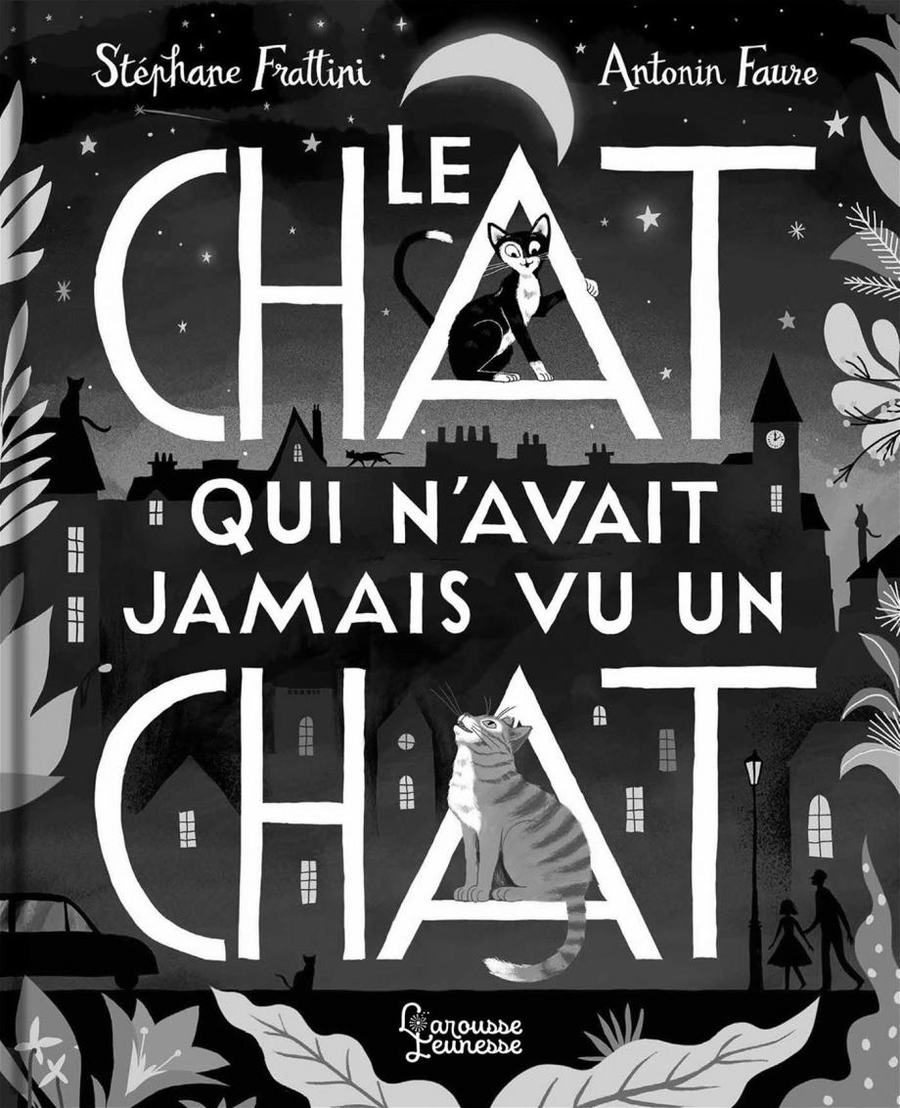 Le chat qui n'avait jamais vu un chat - Stéphane Frattini.jpg