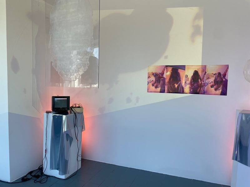 Exposition de Lou-Raphaëlle Paul-Allaire et Alex Alisich