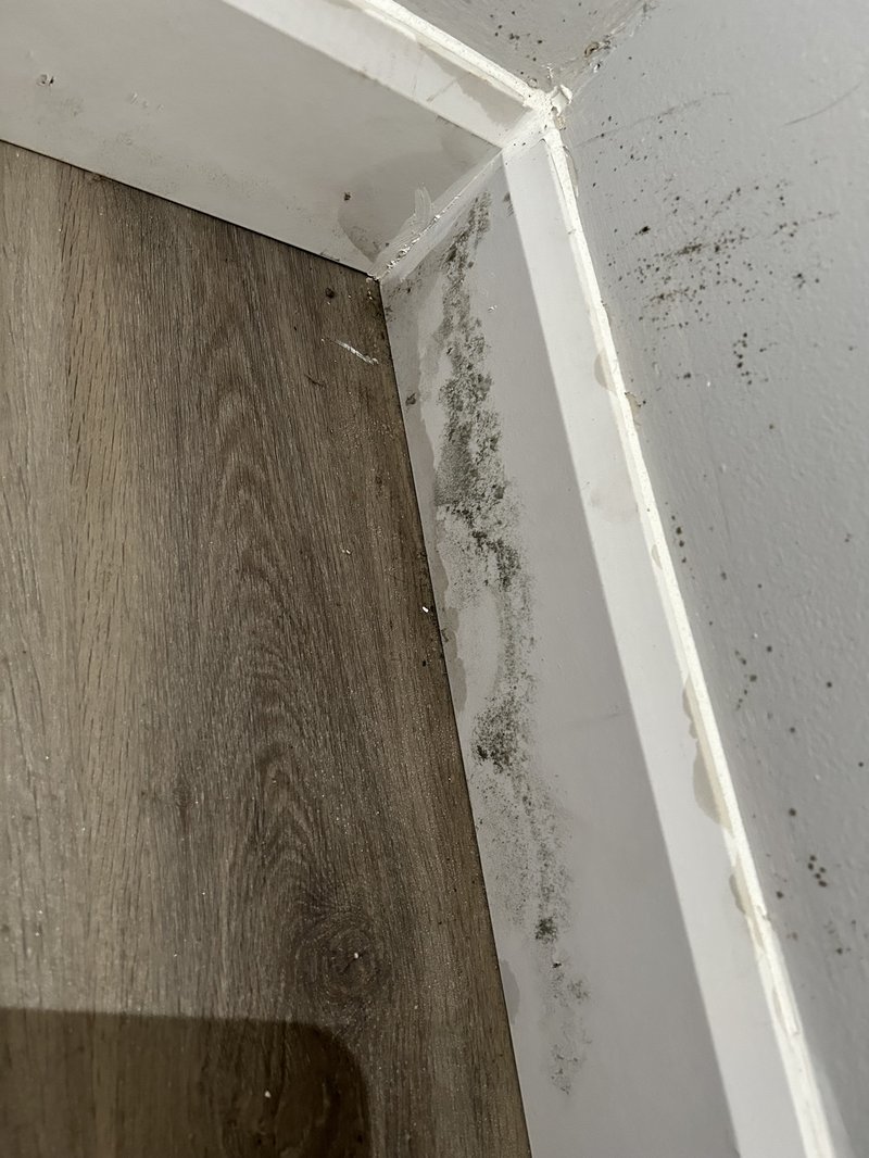 Témoignage 1 ALOCAT