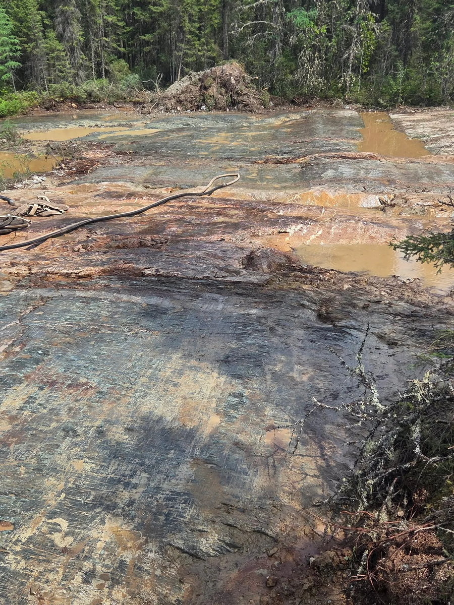 Bullion Gold- Projet Terragold près de Senneterre - septembre 2026