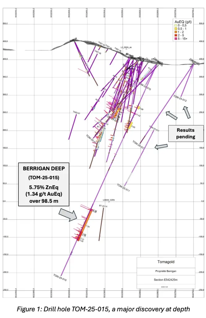 TomaGold projet Berrigan