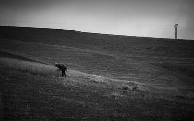 agricole
