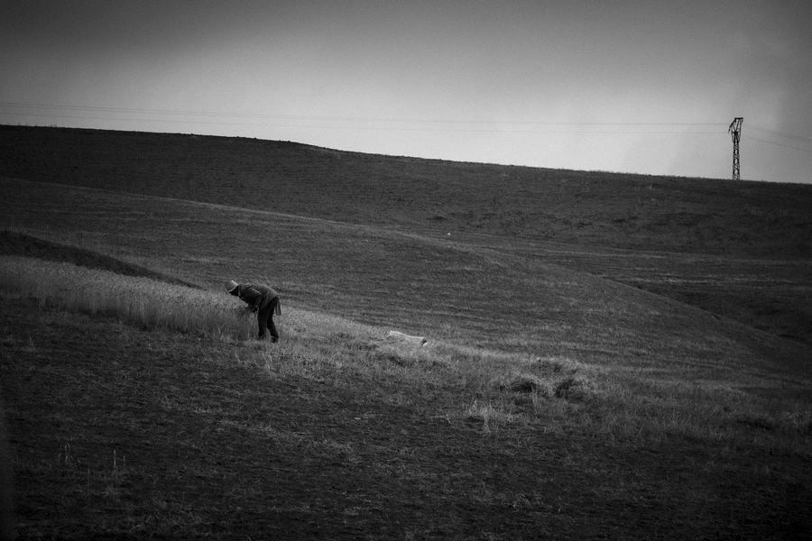 agricole