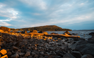 Timiskaming First Nation et Wolf Lake First Nation invoquent un engagement de la Couronne datant de 1849 concernant environ 100 000 acres sur les rives du lac Témiscamingue. Le Canada conteste leur interprétation.