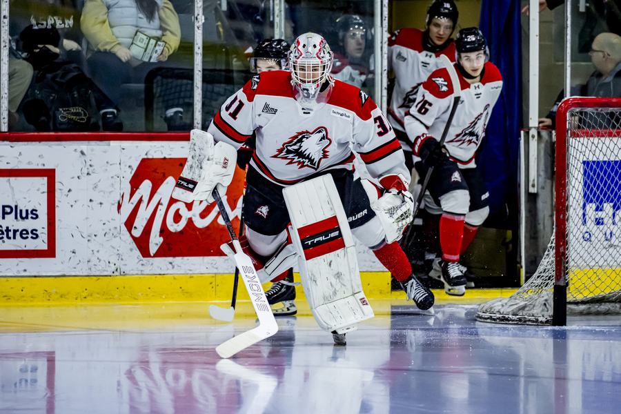 site Huskies-crédit-Dany-Germain-Foreurs