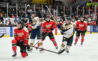 site Huskies -Jean-Lapointe